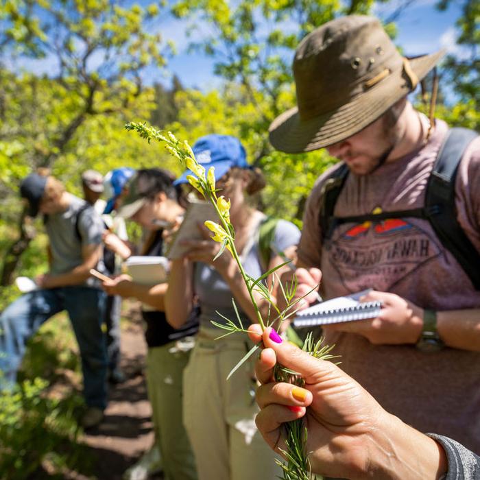 科罗拉多州的地理位置为野外植物学学生提供了更多的机会